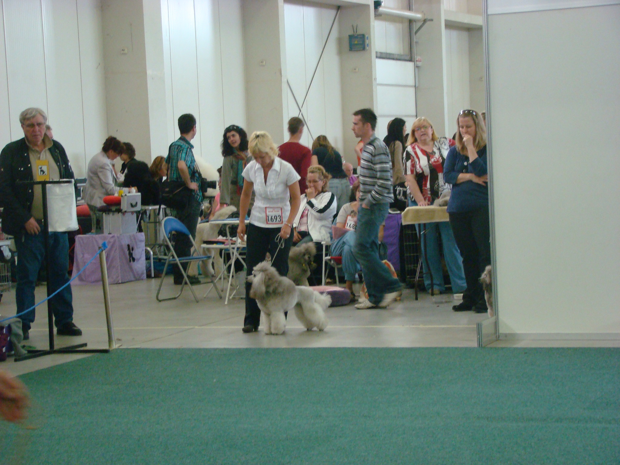 DSC03834.JPG