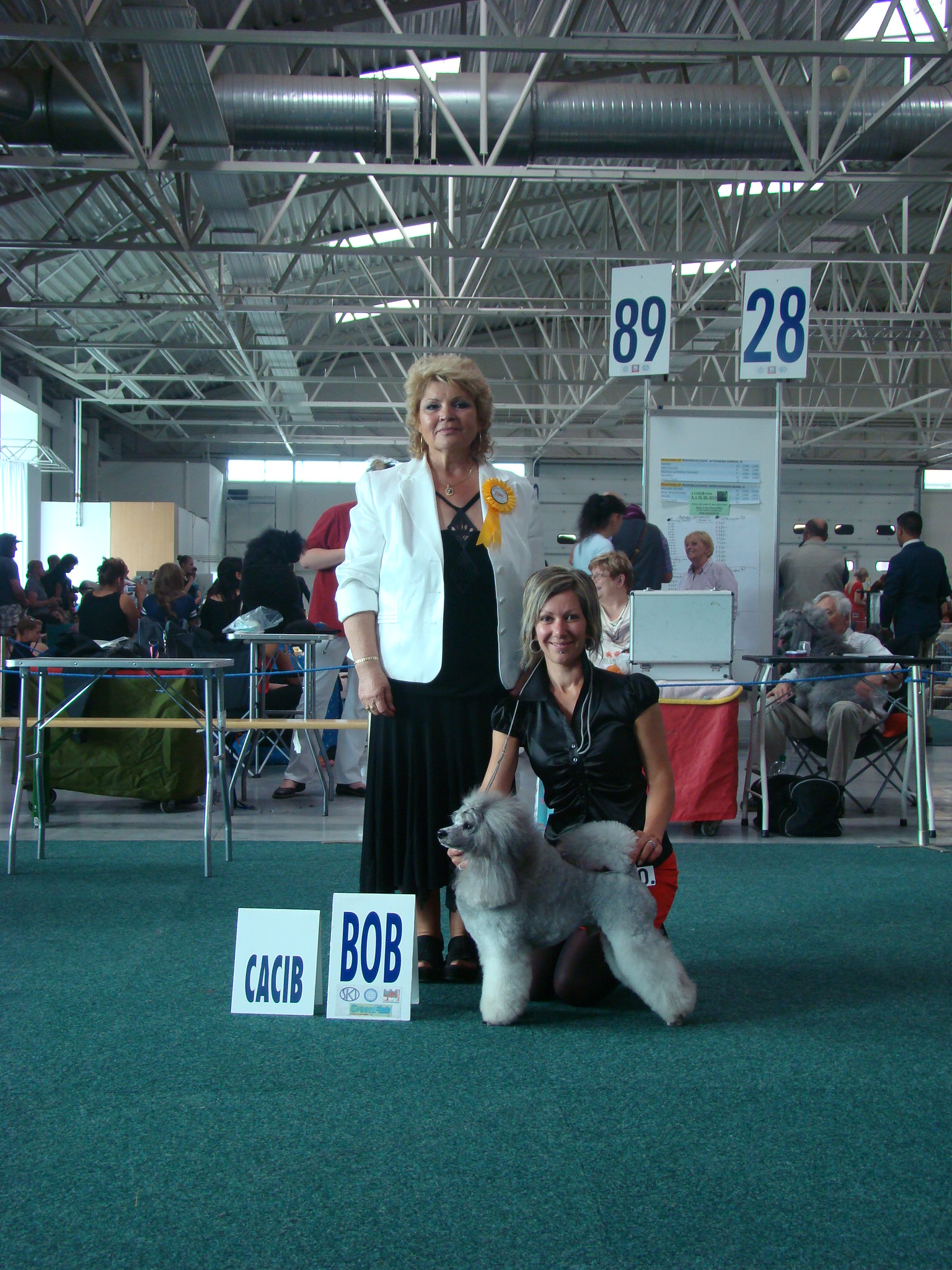 Amiss - Excellent 1, CAC, CACIB, BOB, New Champion of Slovakia!!!