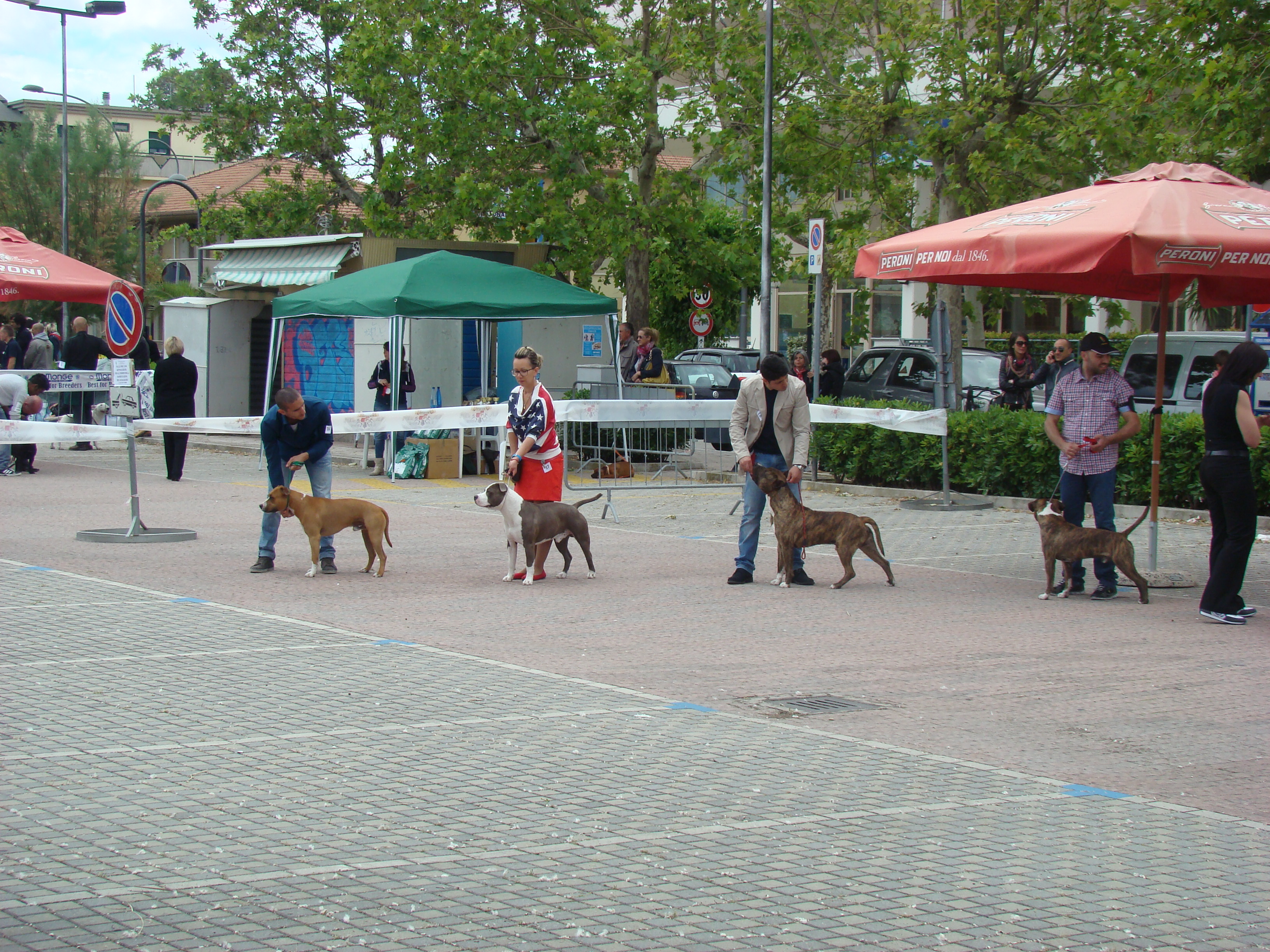 DSC06668